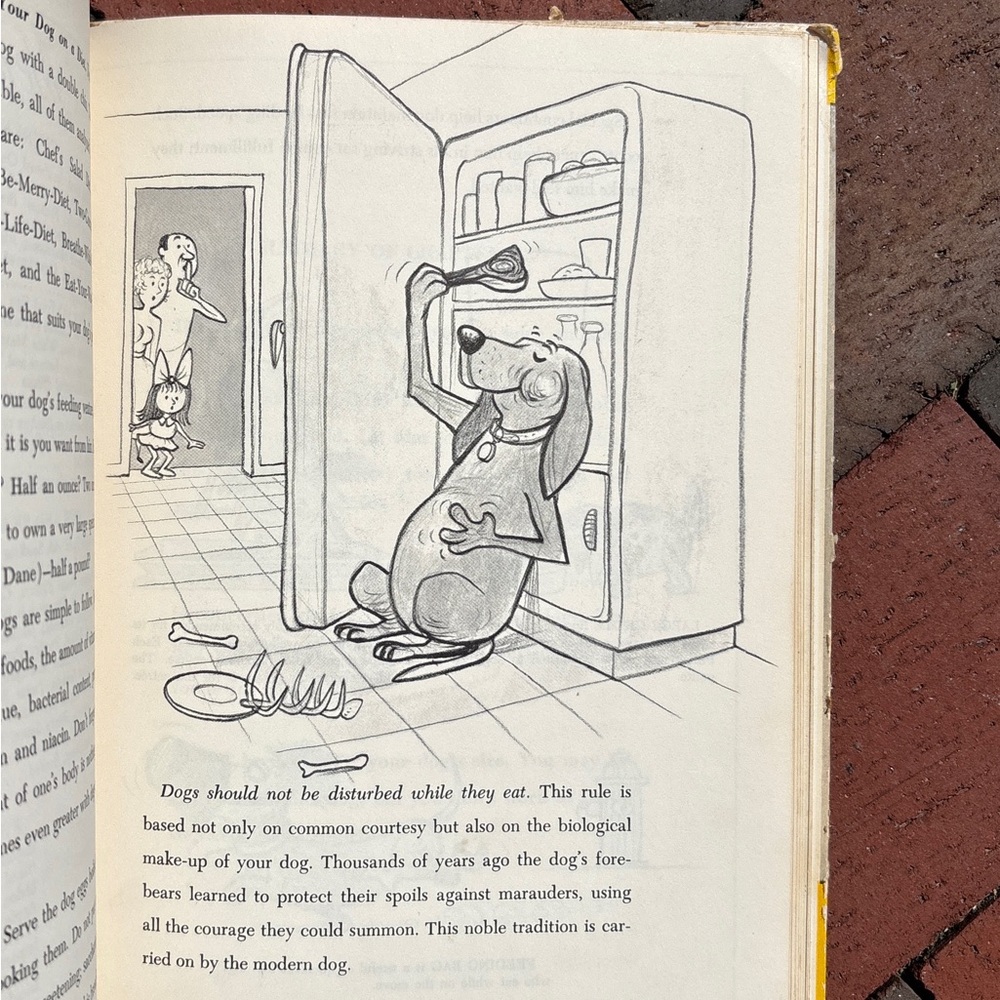 1966 How to Live with  a Neurotic Dog Cartoon Snoopy Humor Pet Puppy